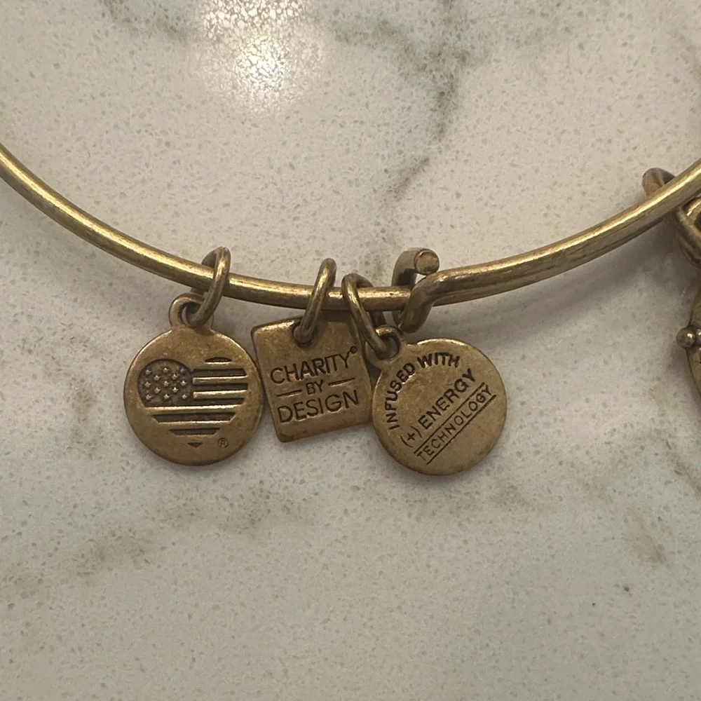 Alex and Ani Gold Nautical Wheel Charm Bangle Bracelet - Picture 3 of 4